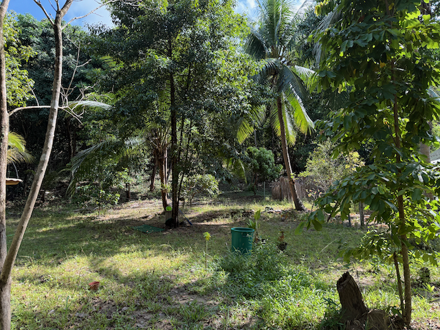 Our Regenerative Garden